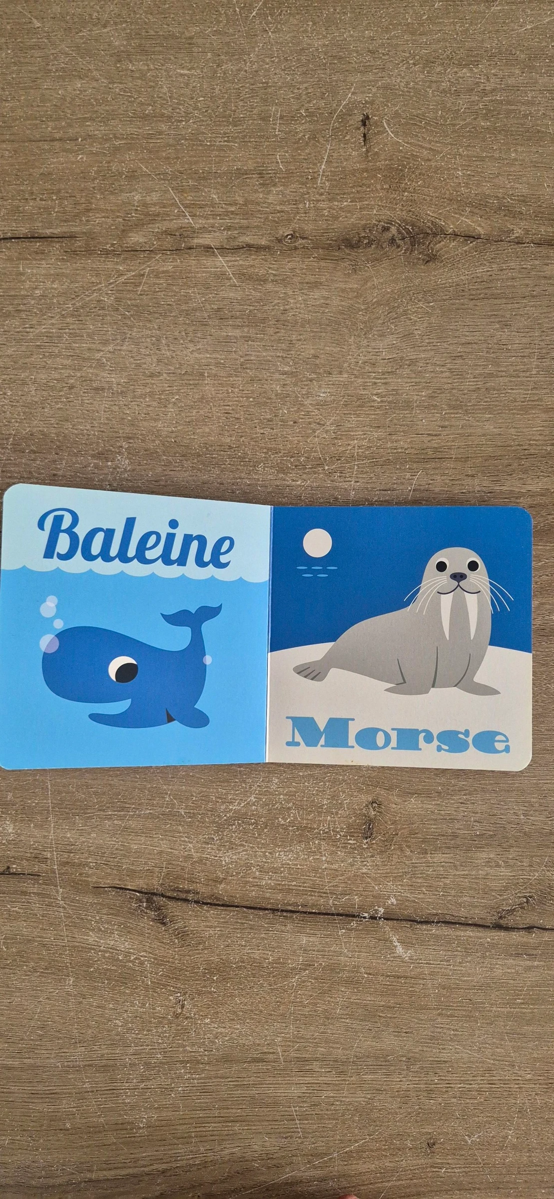 Imagier J'apprends les animaux Banquise et Océan – photo 3
